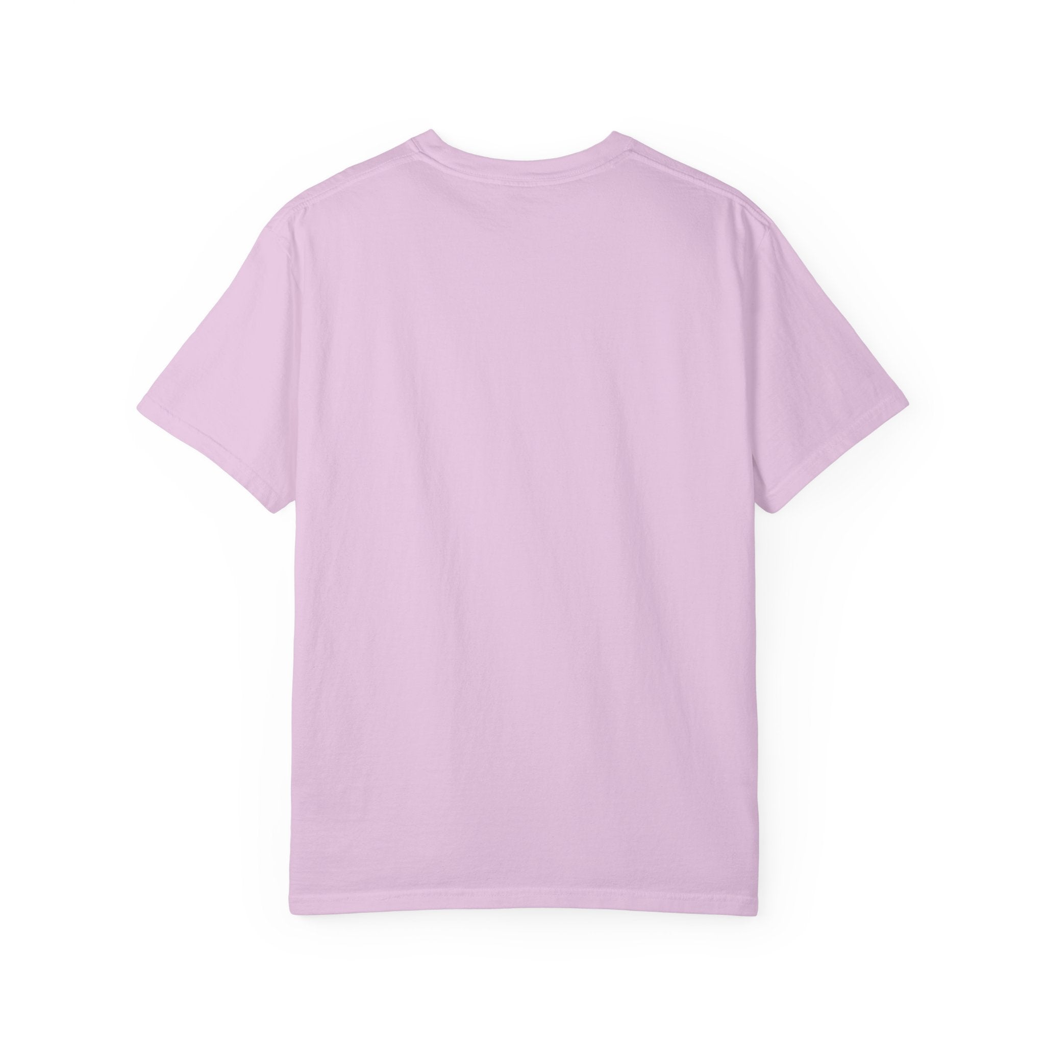 Daycare Teacher Comfort Colors® Shirt, Early Childhood Education Teacher Shirts, Childcare Director Provider Shirt, ECE, Nursery Teacher