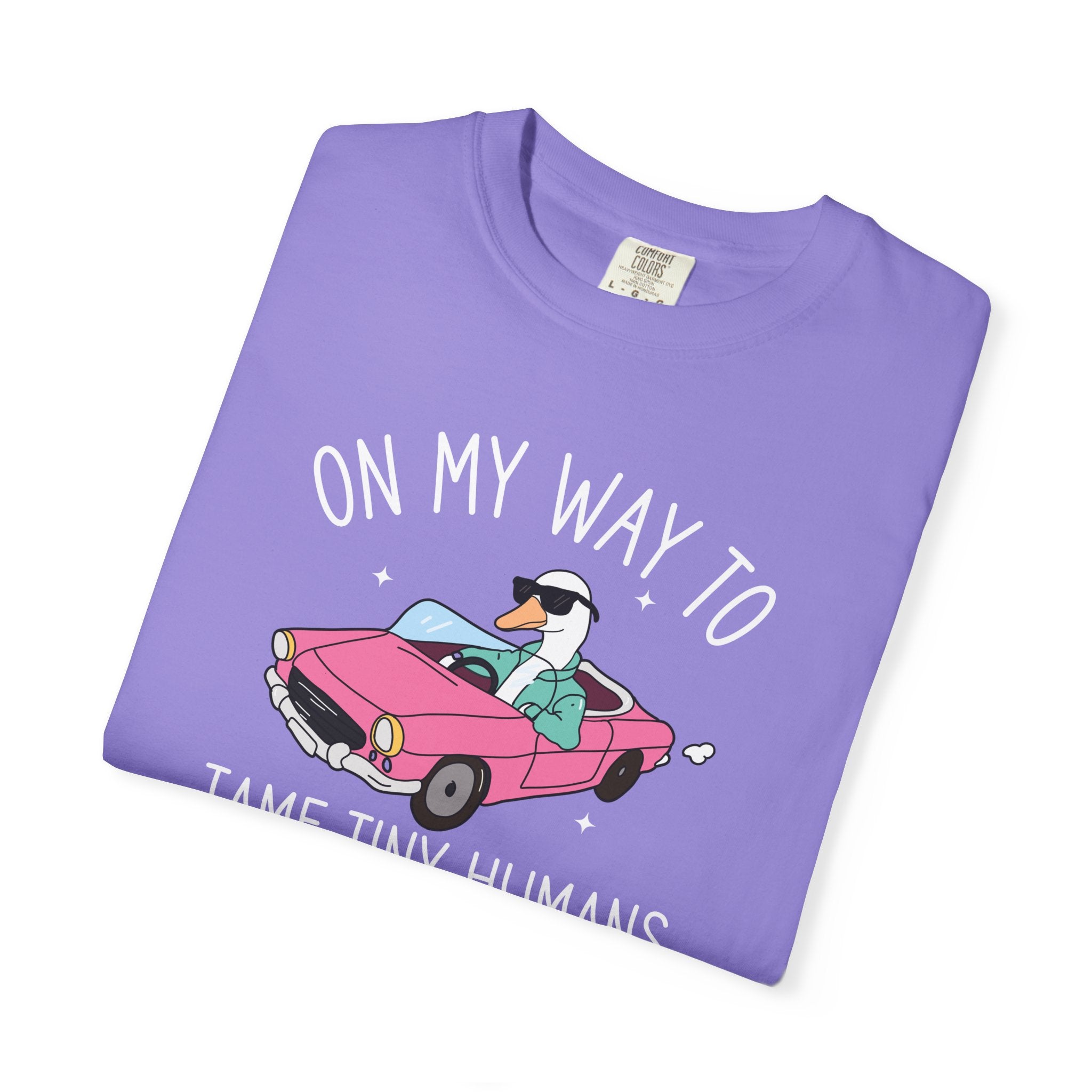 Daycare Teacher Comfort Colors® Shirt, Early Childhood Education Teacher Shirts, Childcare Director Provider Shirt, ECE, Nursery Teacher