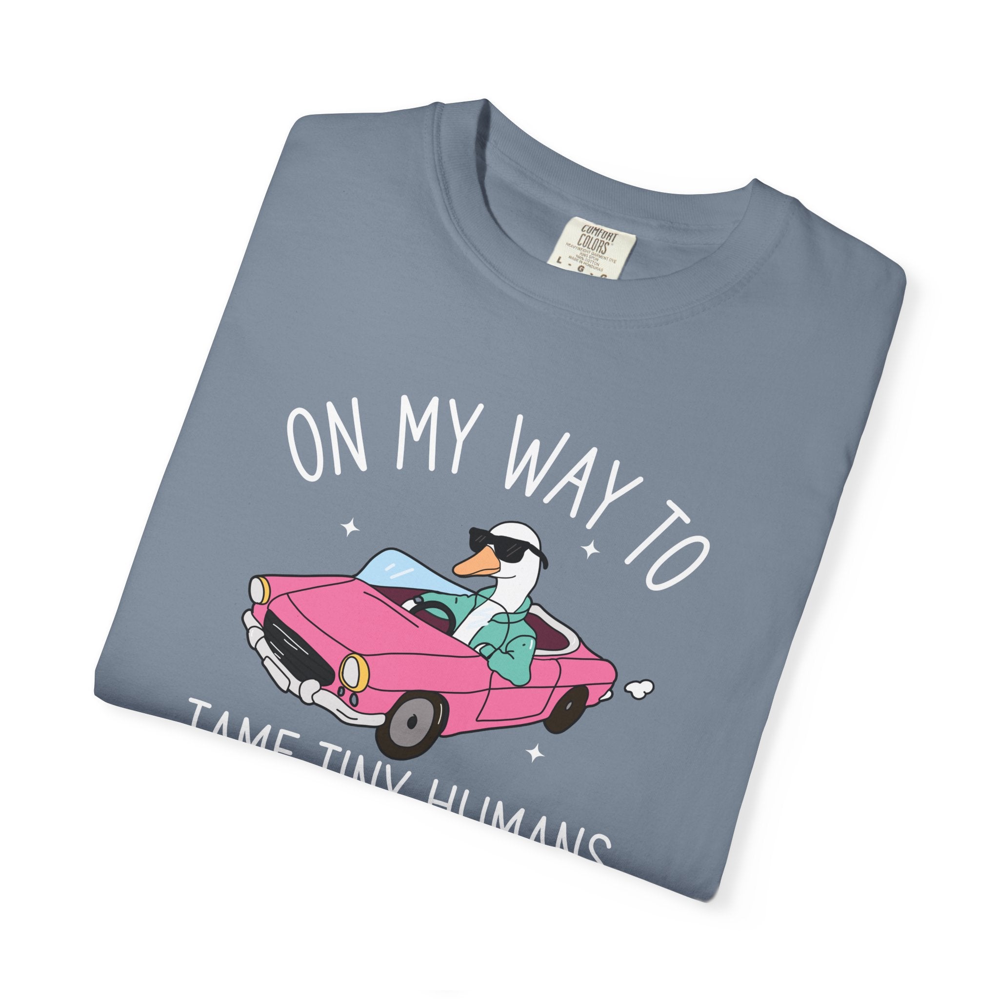 Daycare Teacher Comfort Colors® Shirt, Early Childhood Education Teacher Shirts, Childcare Director Provider Shirt, ECE, Nursery Teacher