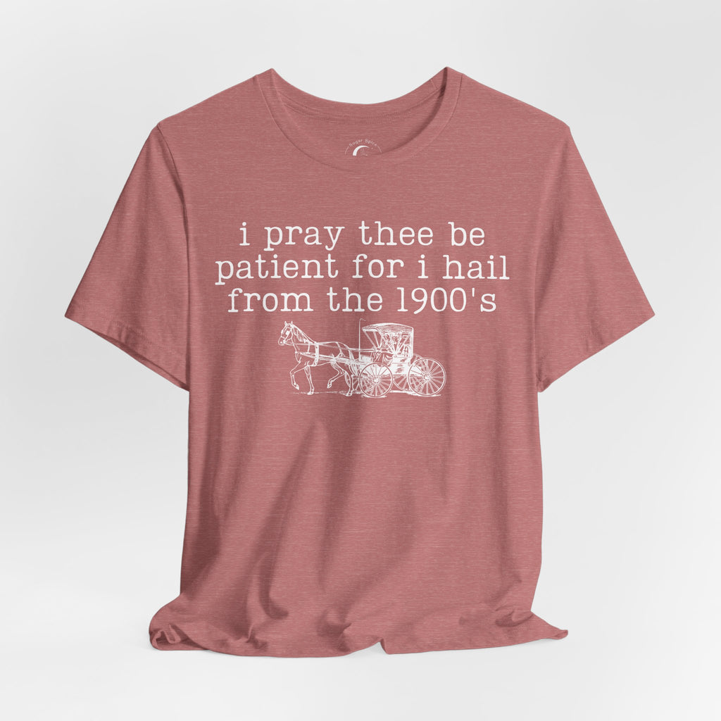 I Pray Thee Be Patient I Hail From the 1900s Shirt – Vintage History Teacher Tee