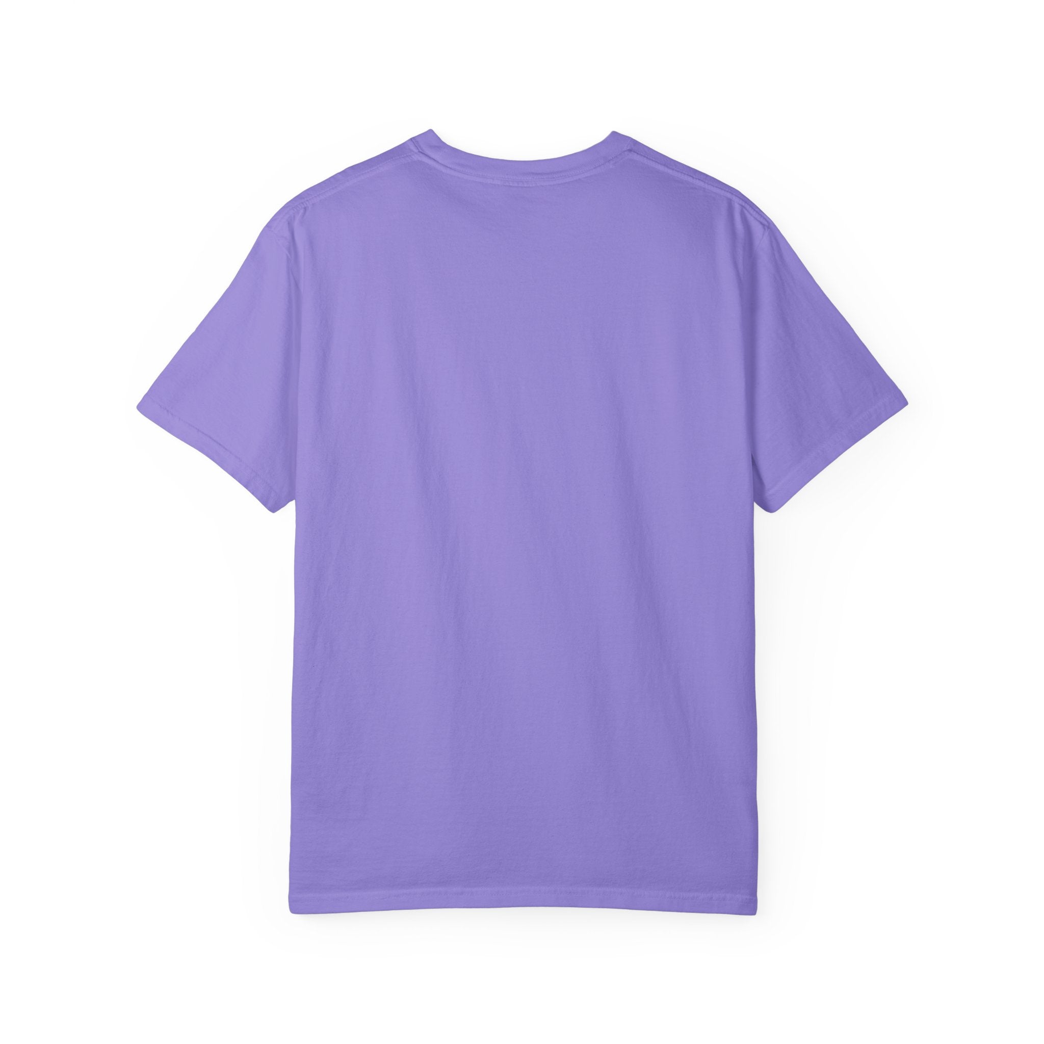 Daycare Teacher Comfort Colors® Shirt, Early Childhood Education Teacher Shirts, Childcare Director Provider Shirt, ECE, Nursery Teacher