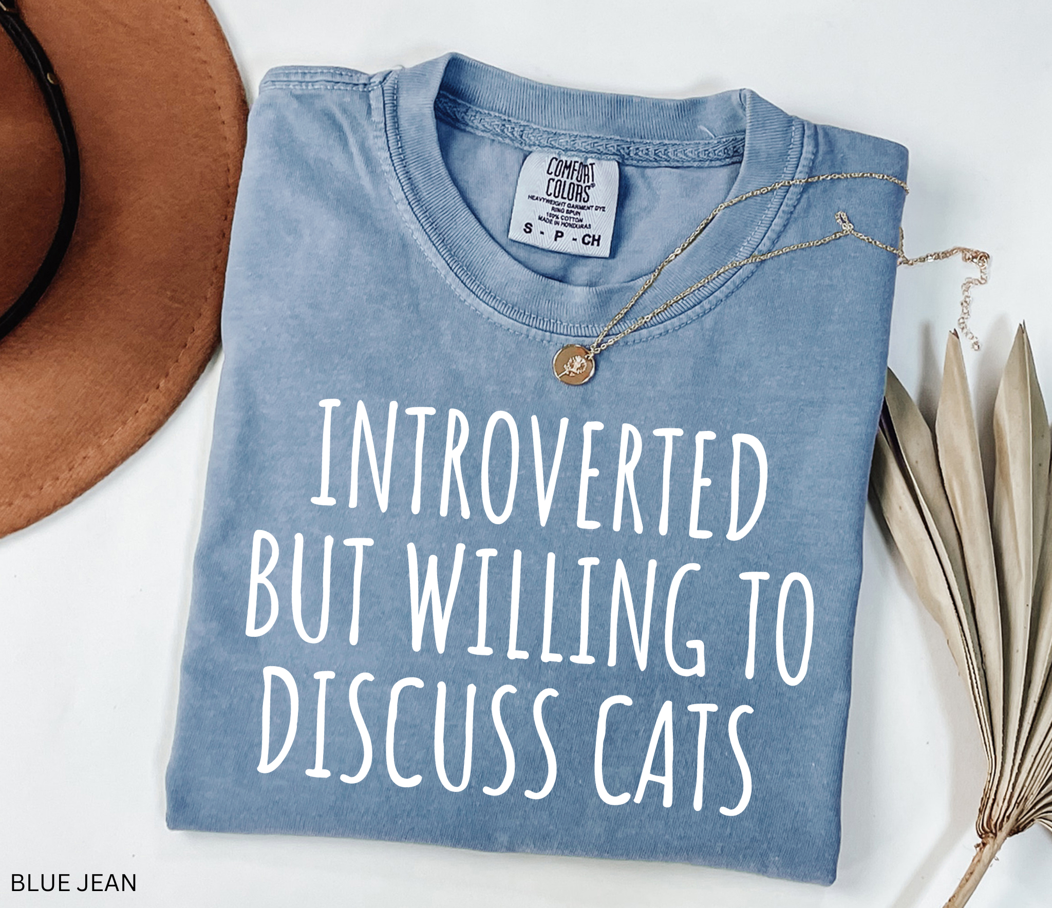 Funny Comfort Colors cat lover shirt featuring the phrase "Introverted But Willing to Discuss Cats," designed for introverts, cat moms, cat dads, and pet lovers.