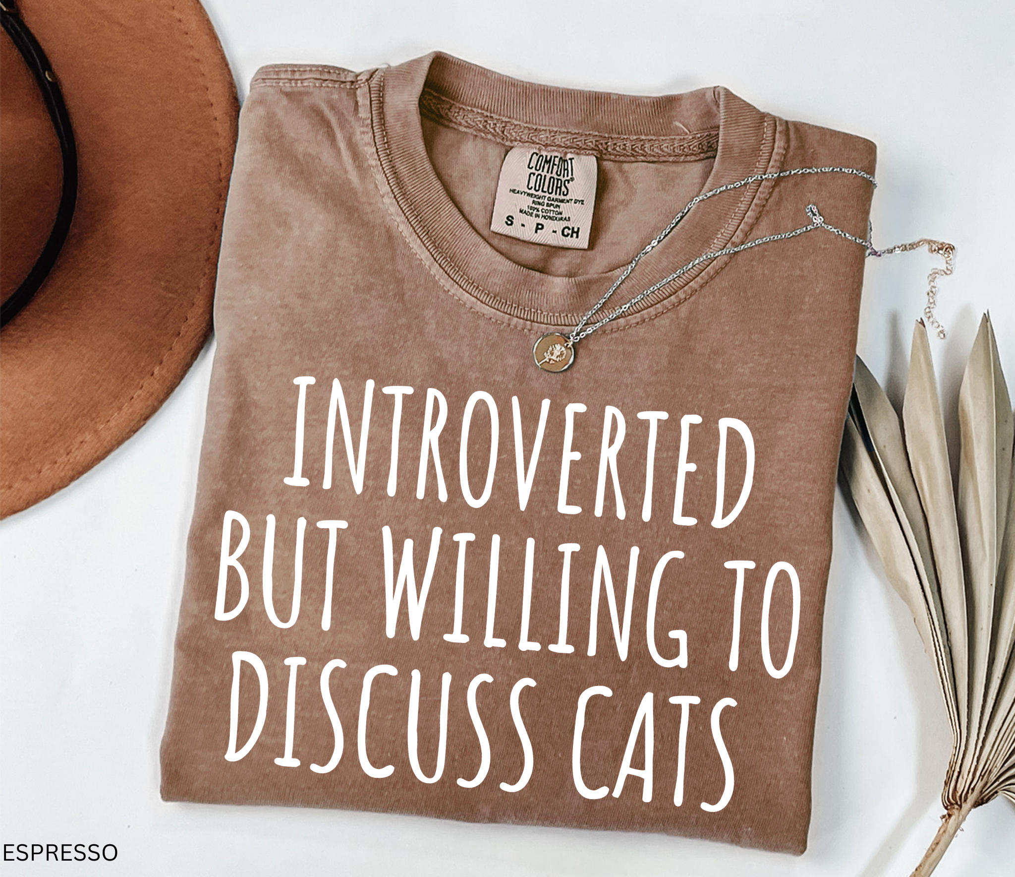 Funny Comfort Colors cat lover shirt featuring the phrase "Introverted But Willing to Discuss Cats," designed for introverts, cat moms, cat dads, and pet lovers.