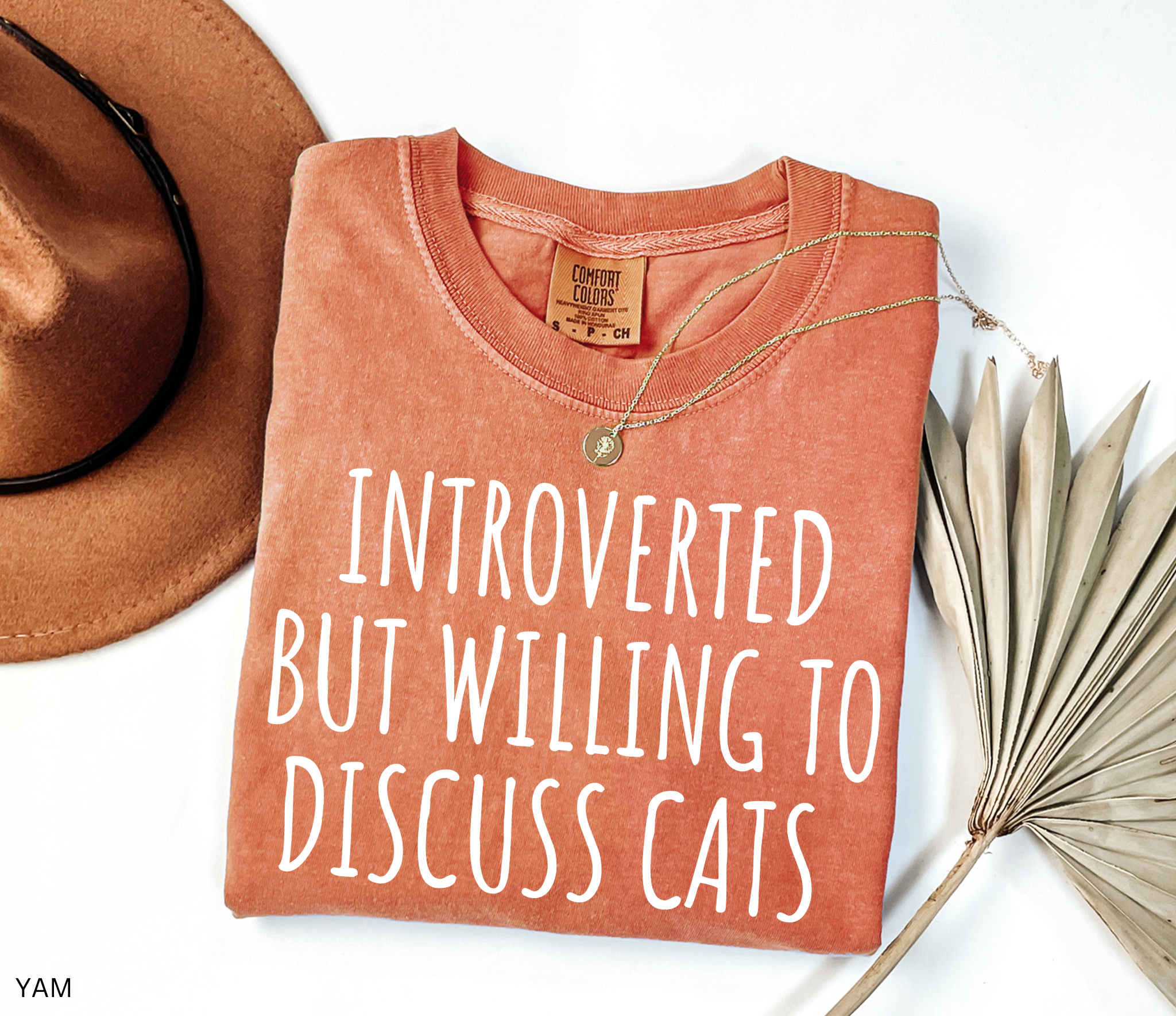 Funny Comfort Colors cat lover shirt featuring the phrase "Introverted But Willing to Discuss Cats," designed for introverts, cat moms, cat dads, and pet lovers.