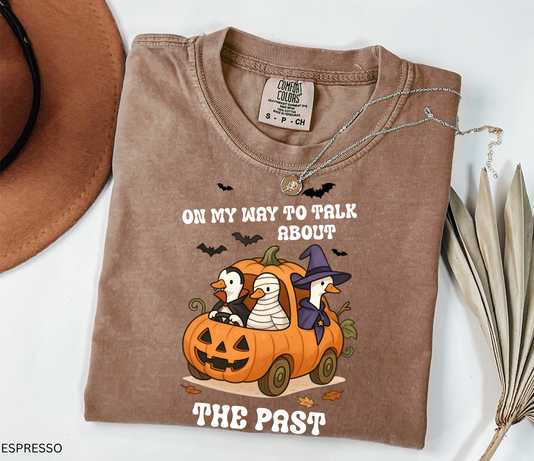 Halloween history teacher shirt with geese in a pumpkin car dressed as a witch, mummy, and vampire. Phrase reads ‘On My Way to Talk About The Past.’ Funny spooky teacher tee.