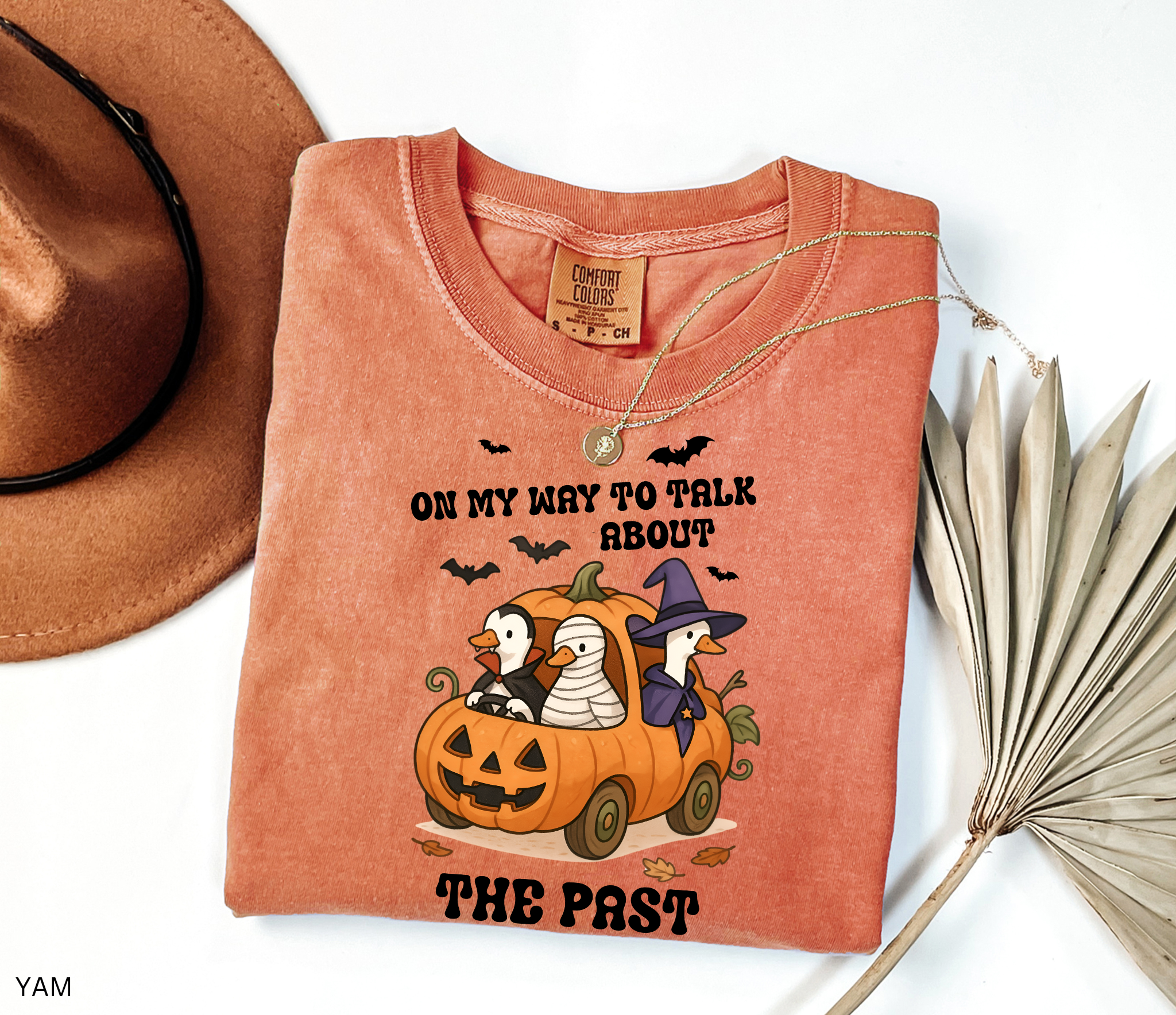 Halloween history teacher shirt with geese in a pumpkin car dressed as a witch, mummy, and vampire. Phrase reads ‘On My Way to Talk About The Past.’ Funny spooky teacher tee.