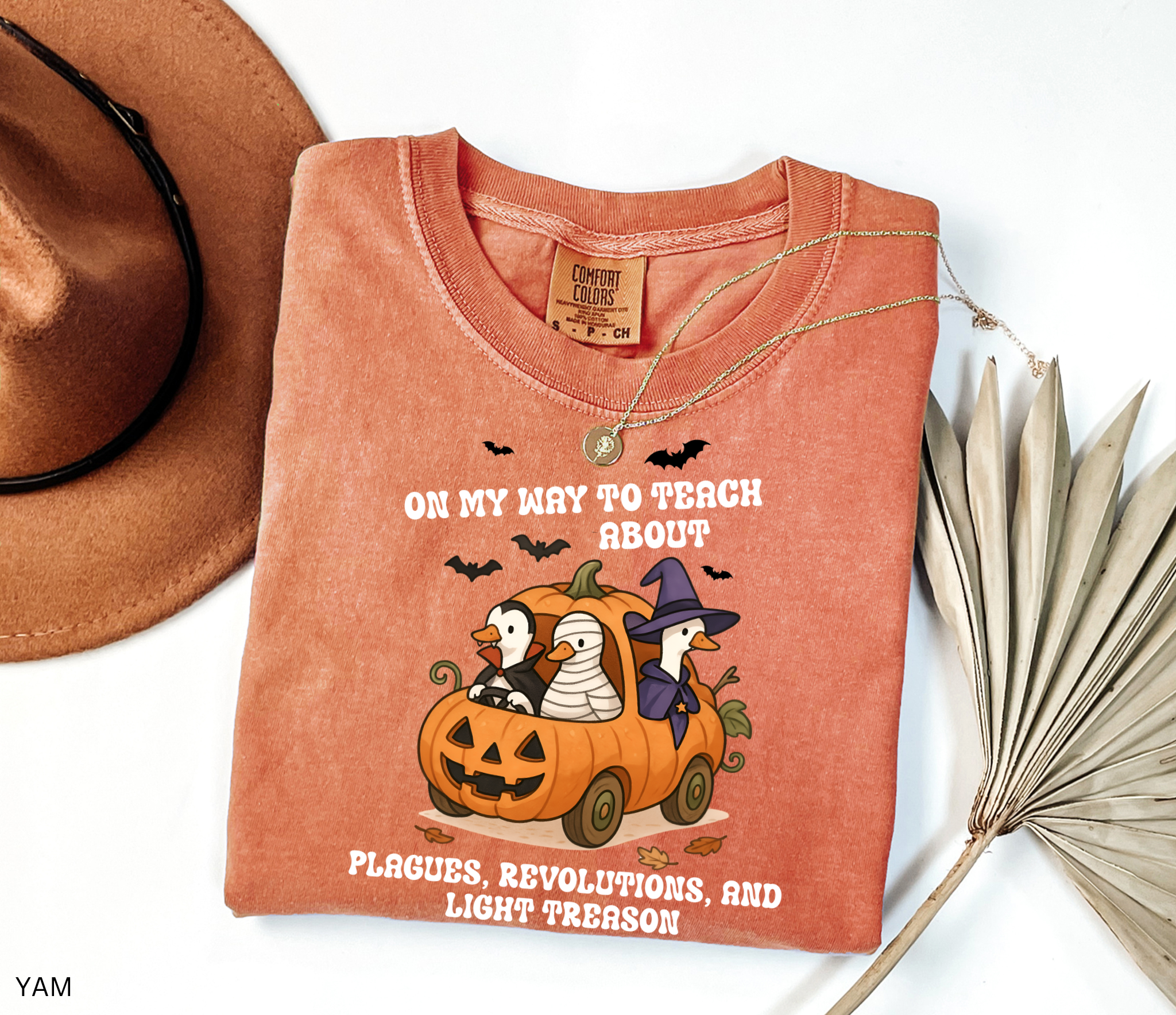 Halloween shirt design with geese dressed as Dracula, a mummy, and a witch riding in a carved pumpkin car, with bats and autumn leaves around. A playful and spooky history teacher graphic.
