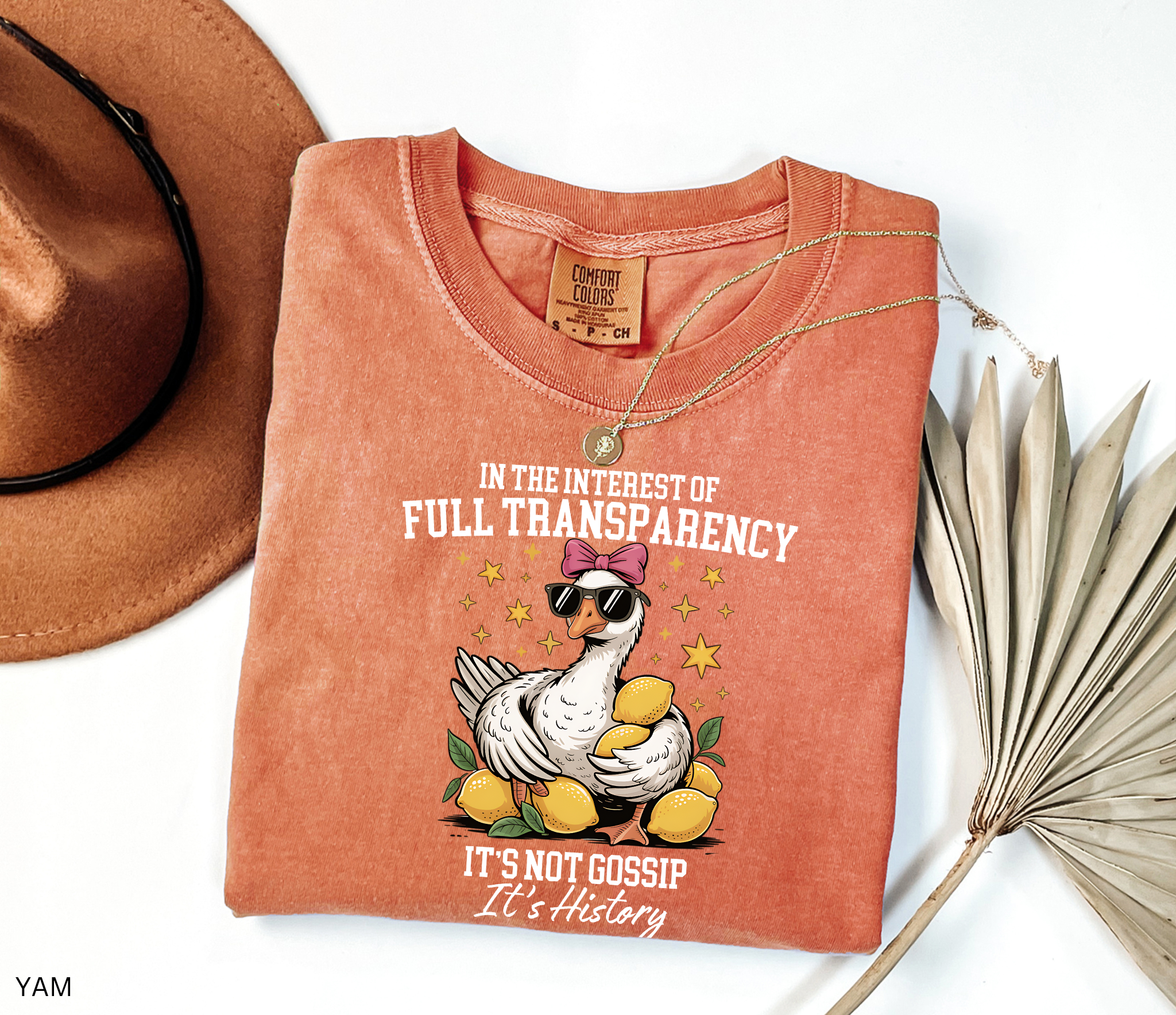 Cartoon goose wearing sunglasses and a pink bow, surrounded by lemons and yellow stars, printed on a history teacher shirt.