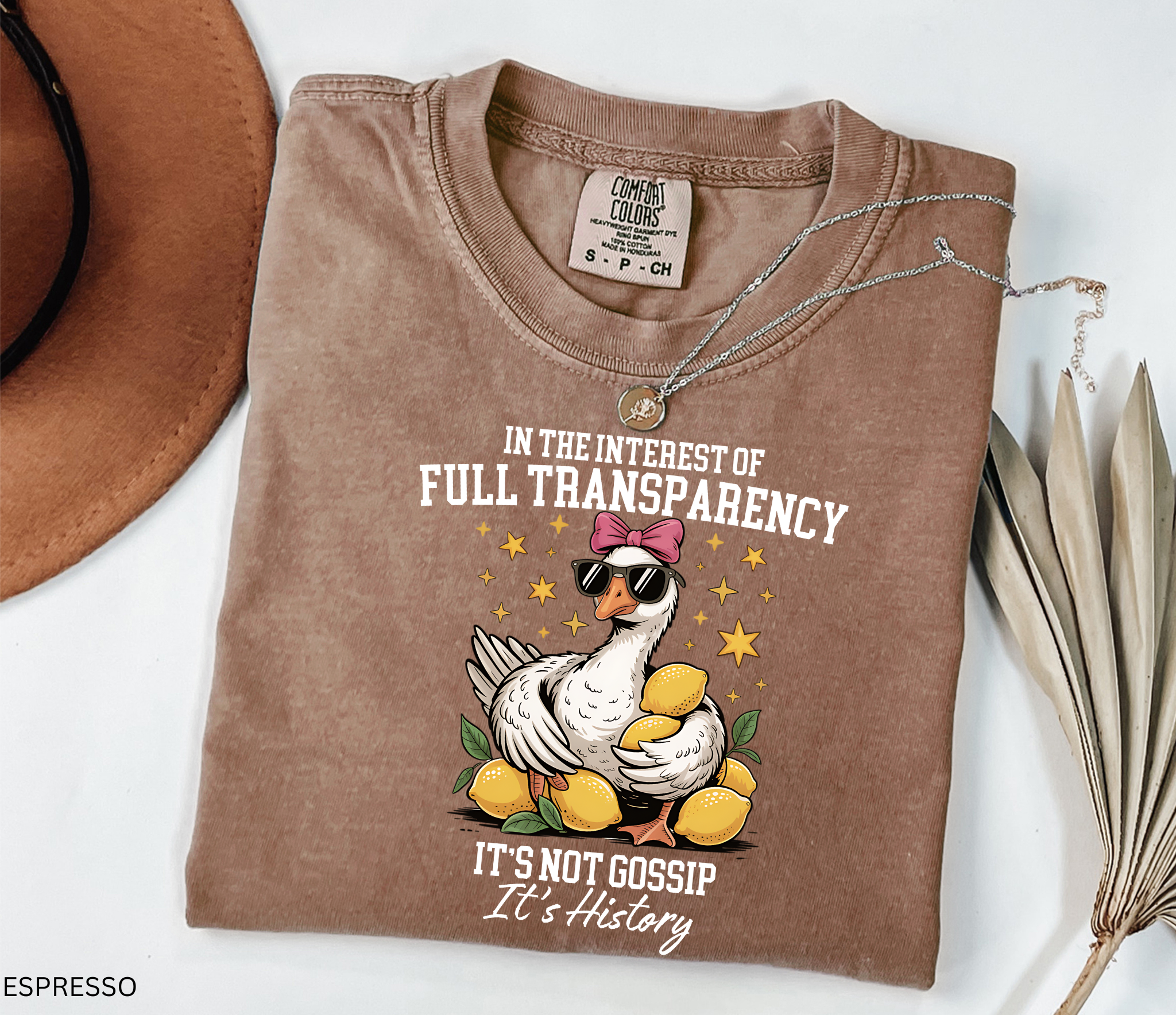 Cartoon goose wearing sunglasses and a pink bow, surrounded by lemons and yellow stars, printed on a history teacher shirt.