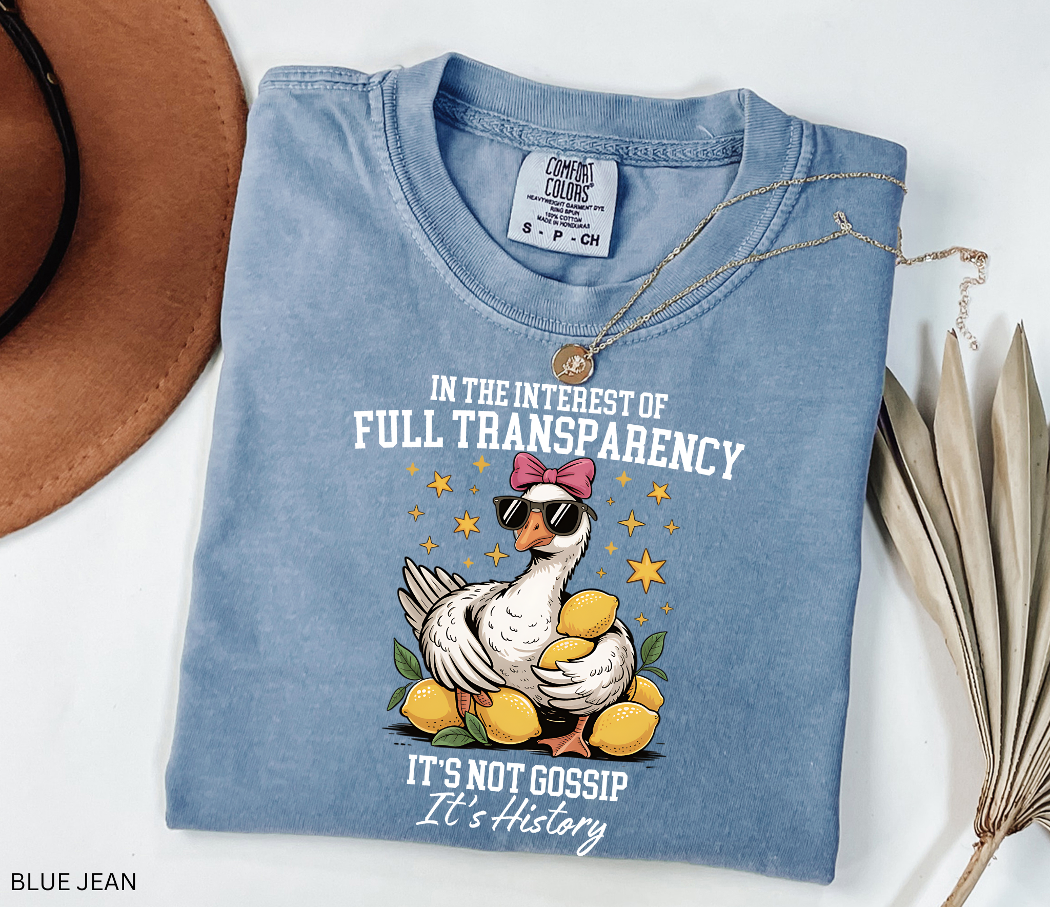 Cartoon goose wearing sunglasses and a pink bow, surrounded by lemons and yellow stars, printed on a history teacher shirt.