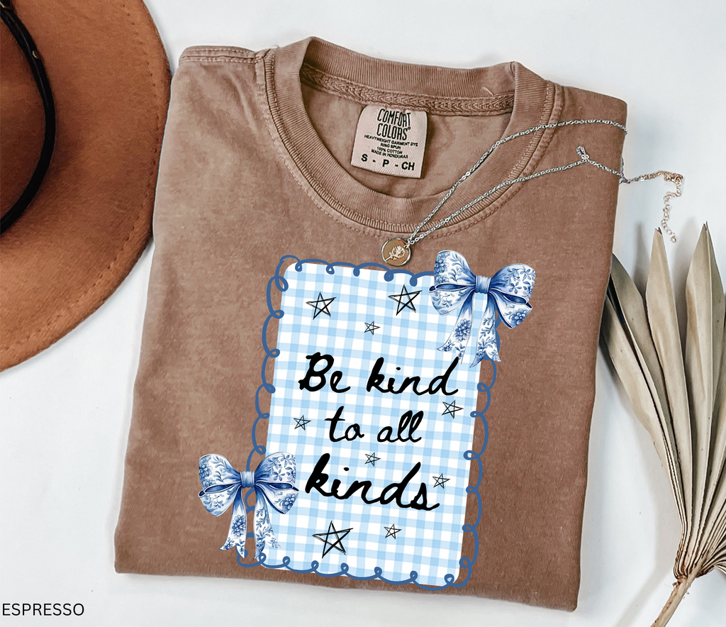 Blue gingham “Be Kind to All Kinds” shirt with bows and stars – kindness graphic tee for teachers and educators.