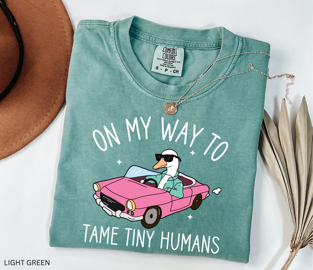 Daycare Teacher Shirt | On My Way to Tame Tiny Humans Funny Goose Tee