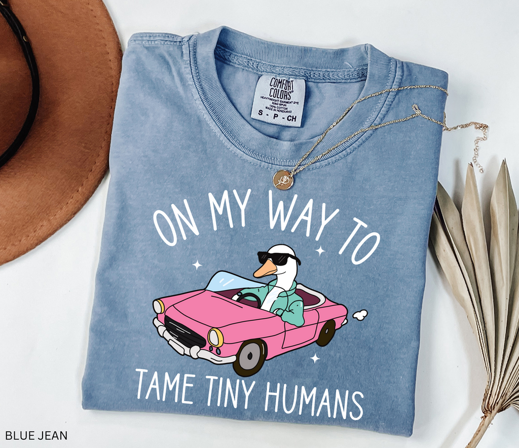 Daycare teacher shirt with goose in sunglasses driving a pink convertible and the phrase On My Way to Tame Tiny Humans