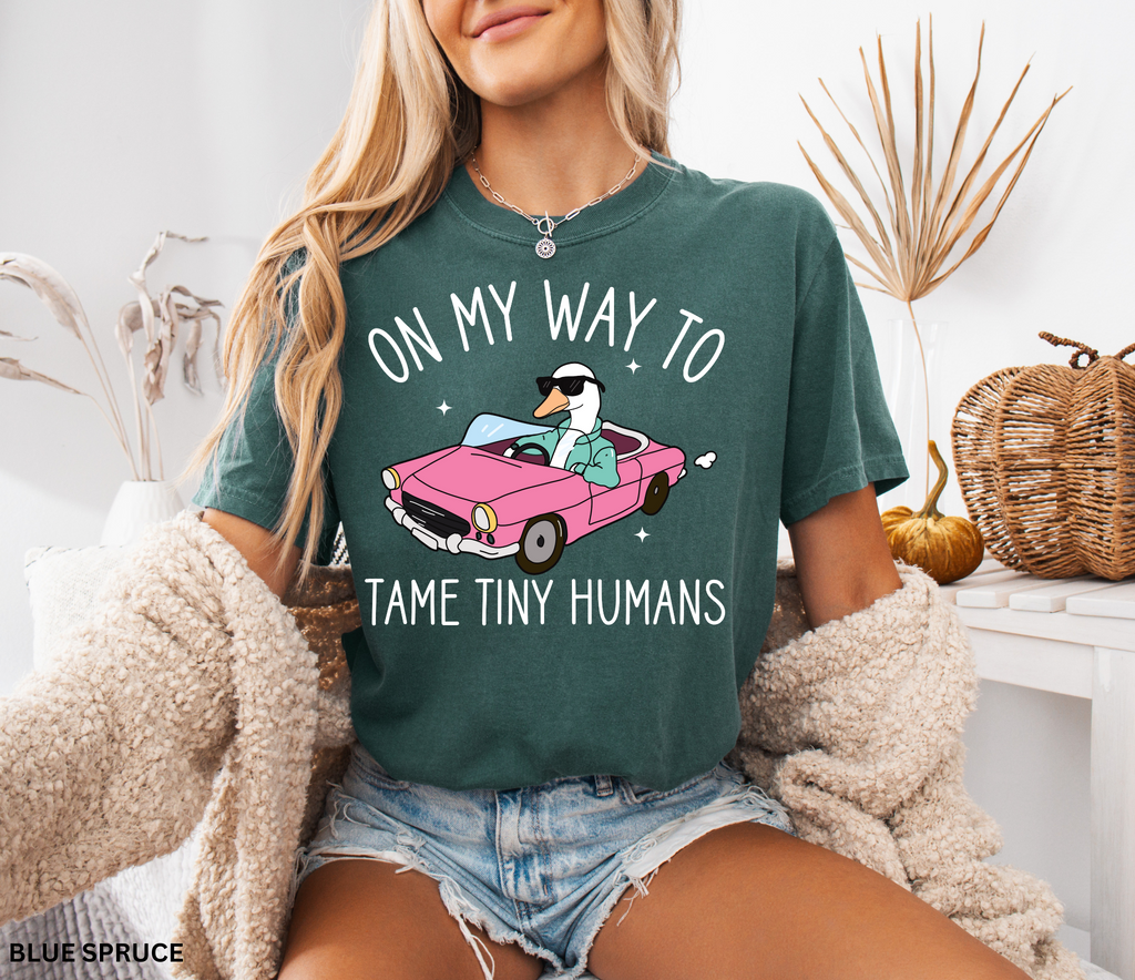 Daycare Teacher Shirt | On My Way to Tame Tiny Humans Funny Goose Tee