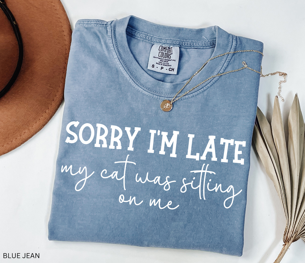 Folded blue shirt with text 'Sorry I'm late my cat was sitting on me' on a white surface with a hat and dried leaves.