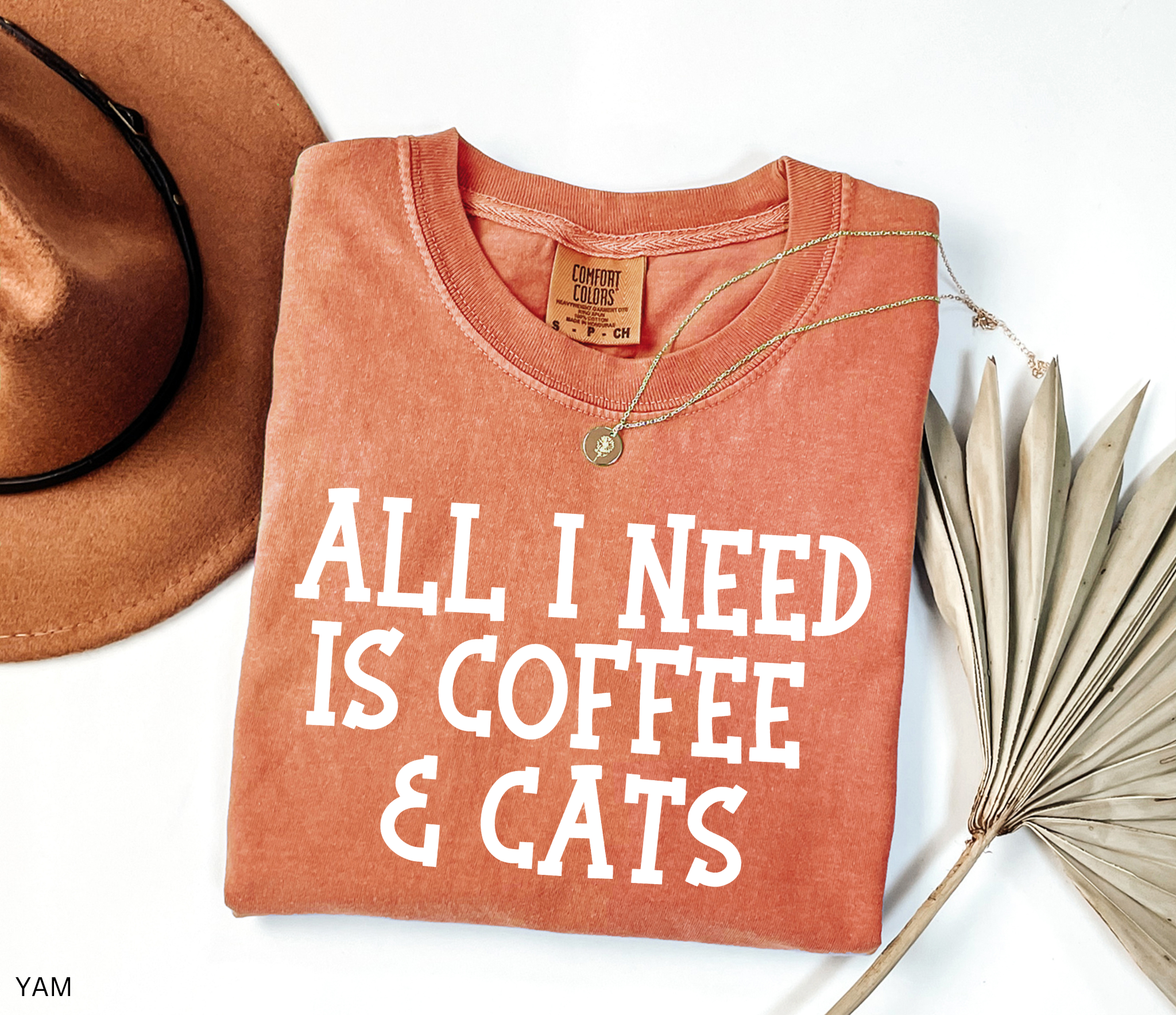 Comfort Colors graphic t-shirt featuring the phrase "All I Need Is Coffee & Cats" in bold vintage lettering, perfect for coffee lovers, cat moms, and animal lovers.