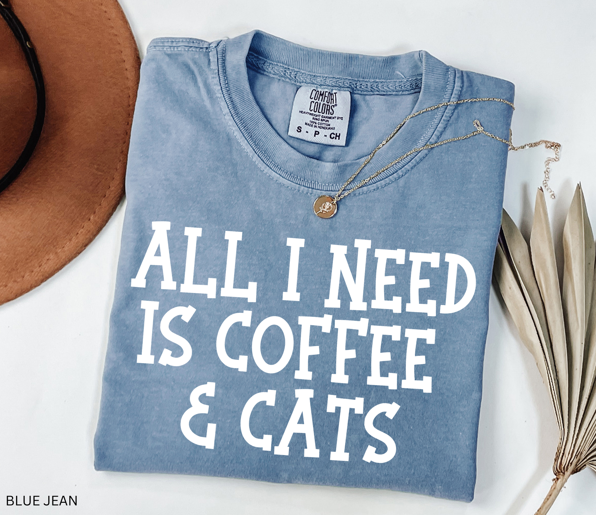 Comfort Colors graphic t-shirt featuring the phrase "All I Need Is Coffee & Cats" in bold vintage lettering, perfect for coffee lovers, cat moms, and animal lovers.