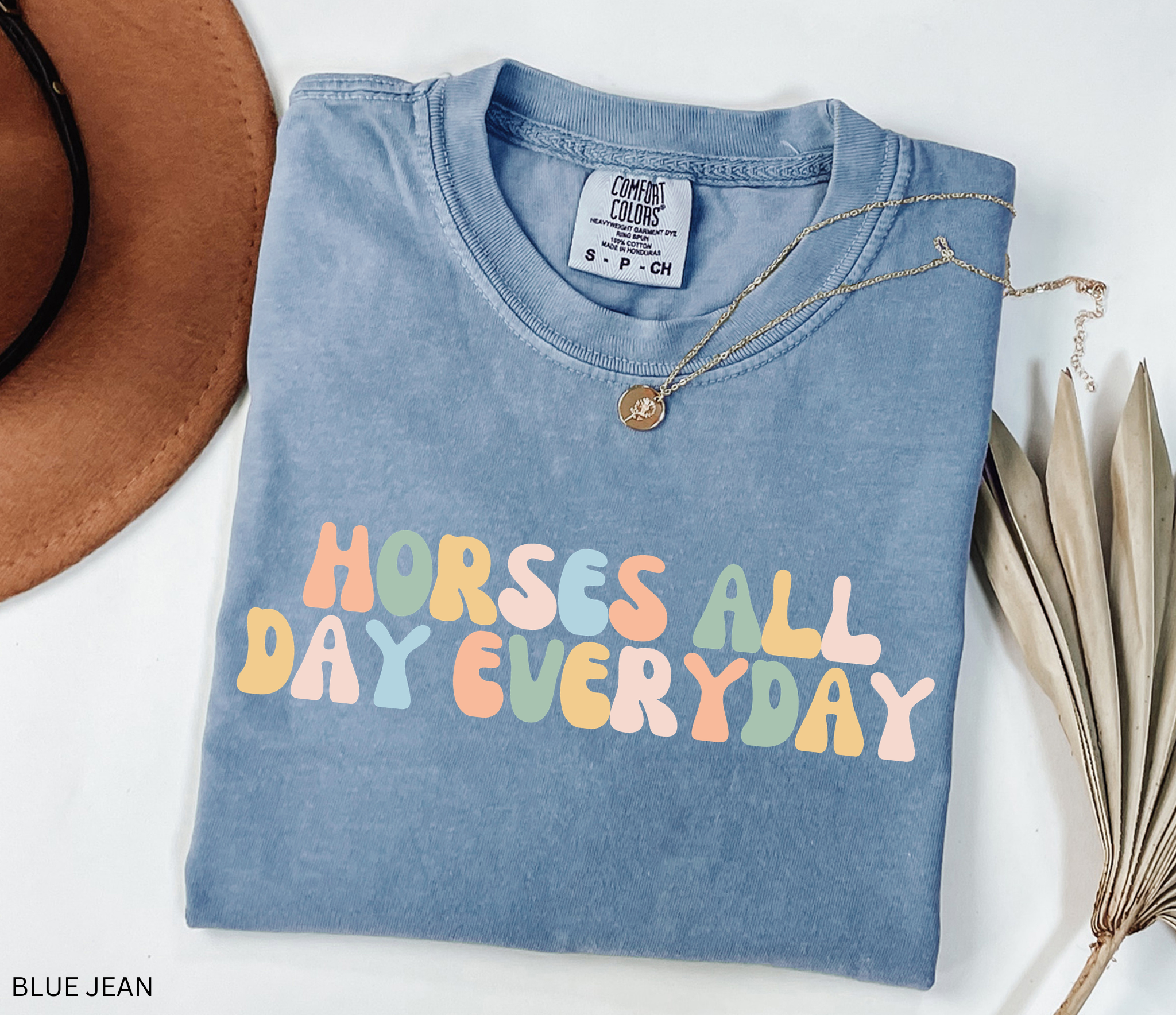 Comfort Colors graphic t-shirt featuring the phrase "Horses All Day Every Day" in colorful retro lettering, perfect for horse lovers, equestrians, riders, and horse moms.