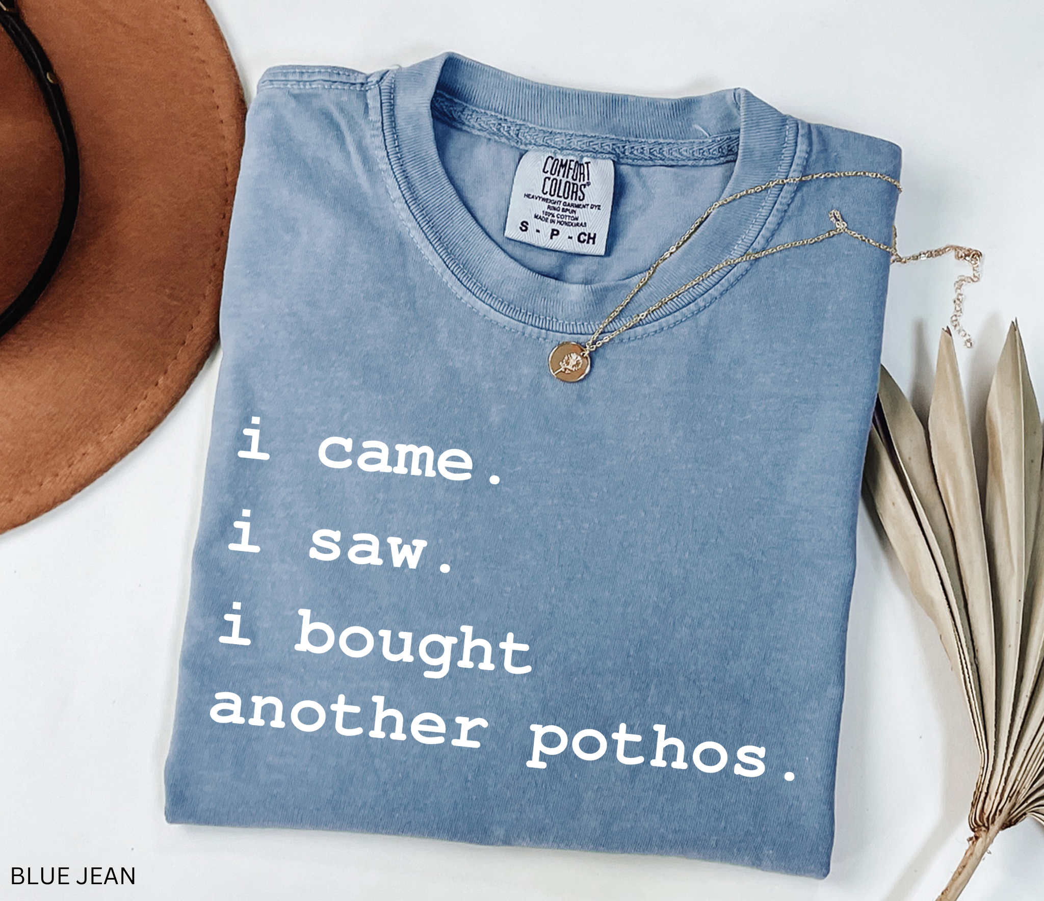 Comfort Colors plant lover t-shirt featuring the funny quote "I Came. I Saw. I Bought Another Pothos." for houseplant lovers and indoor gardeners.
