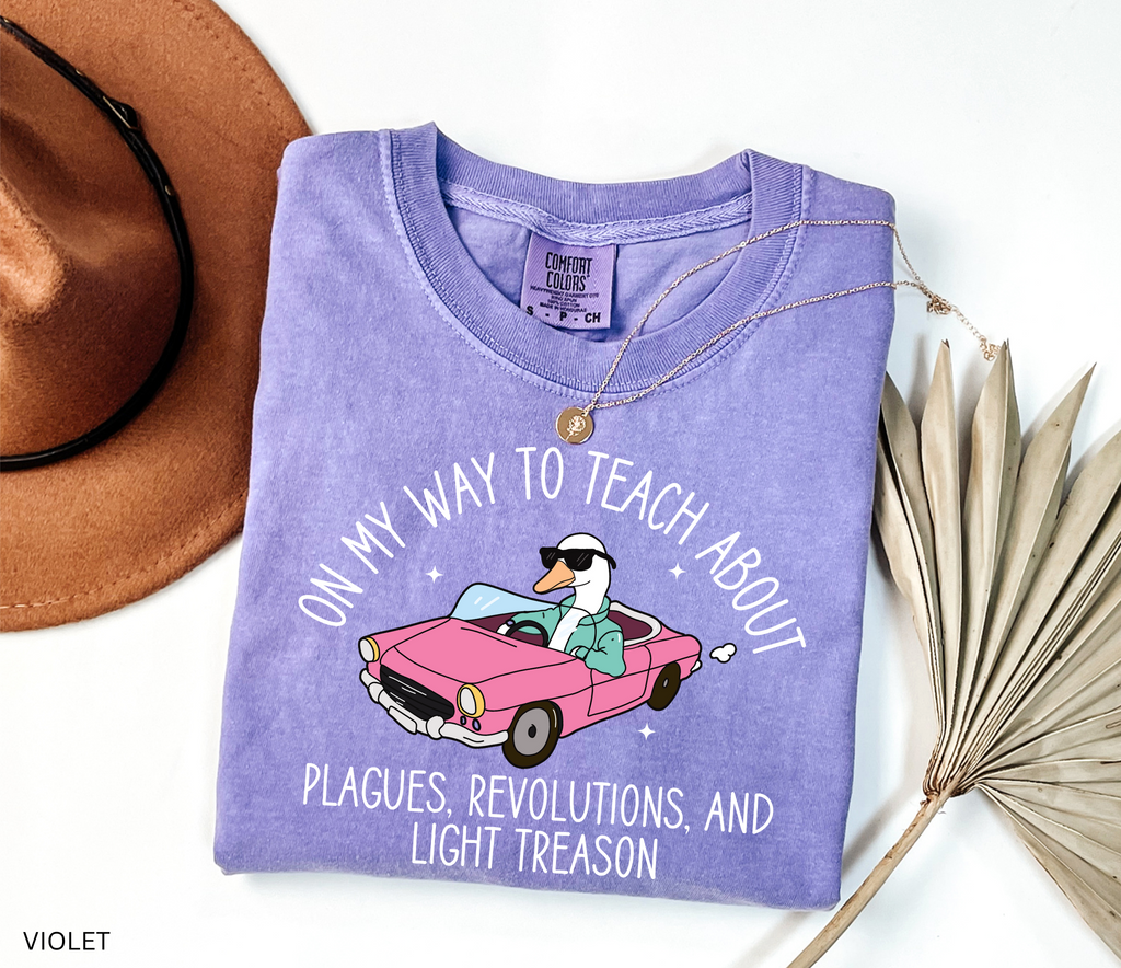 Funny History Goose Teacher Shirt