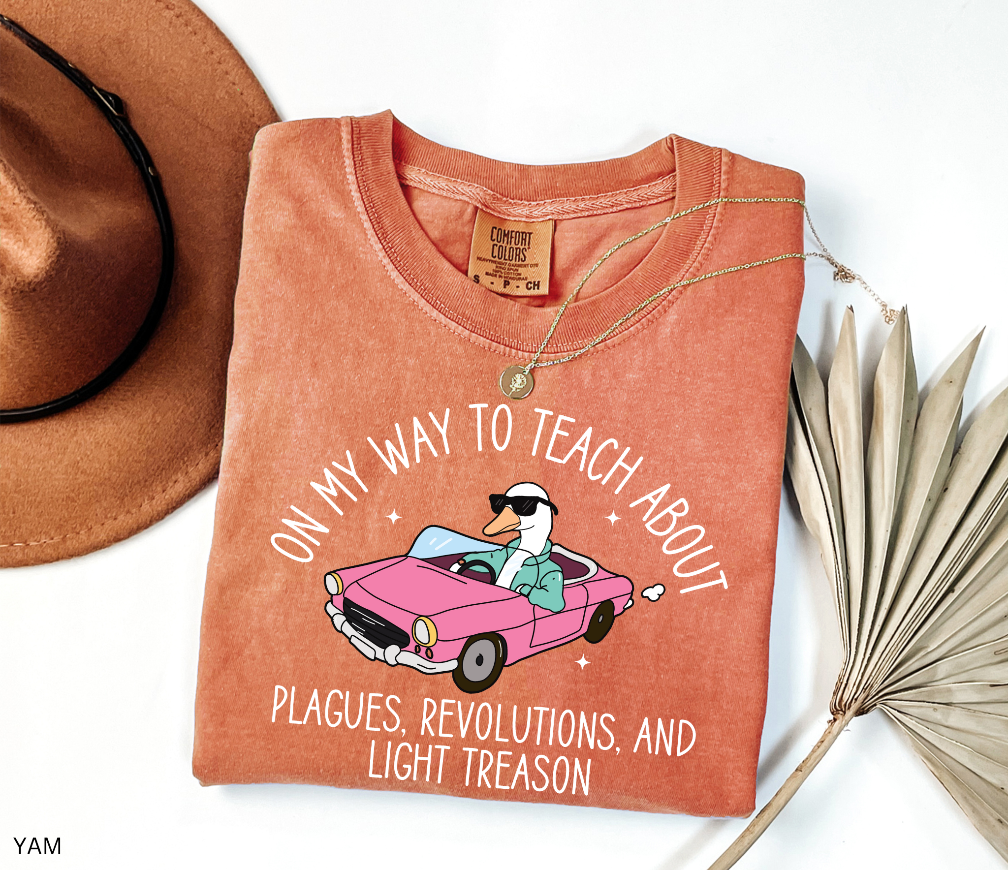 Funny History Goose Teacher Shirt