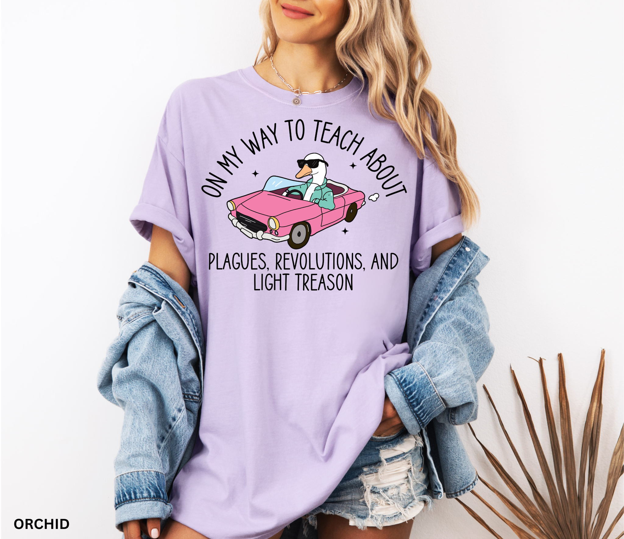 Funny History Goose Teacher Shirt