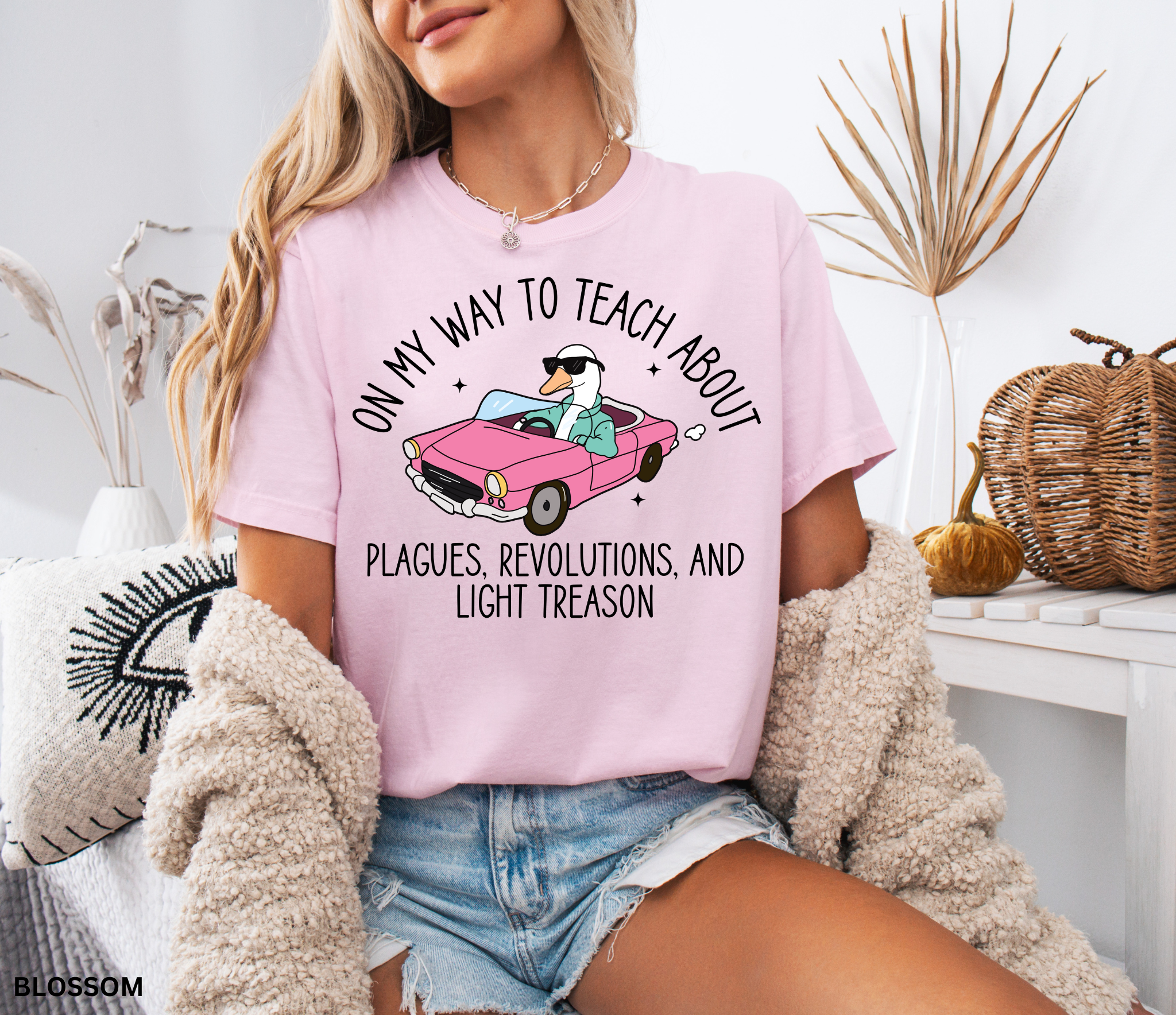 Funny History Goose Teacher Shirt