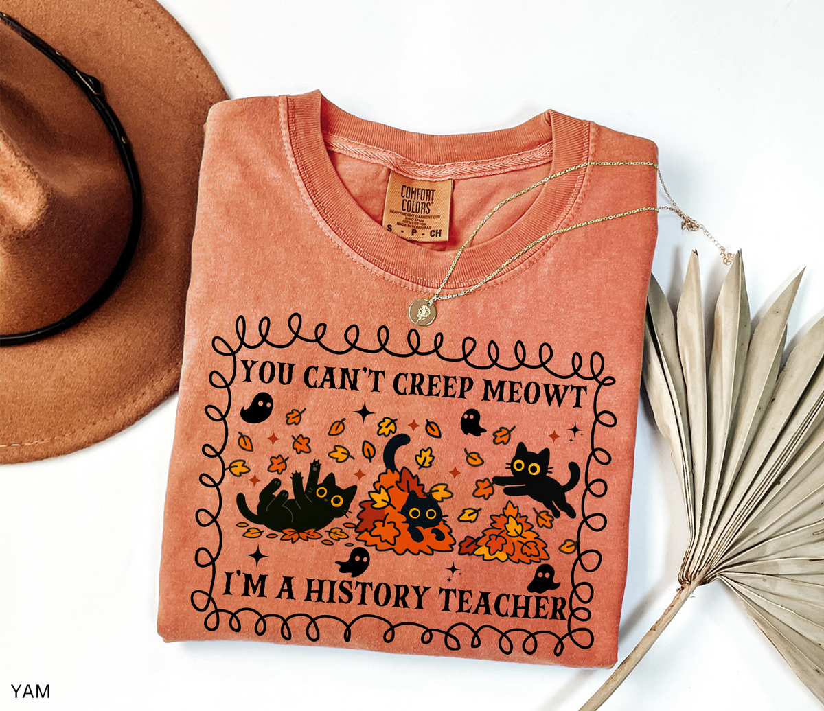 Black Cat History Teacher Comfort Colors® Shirt