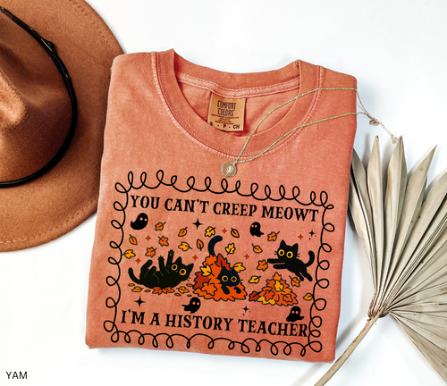 Black Cat History Teacher Comfort Colors® Shirt