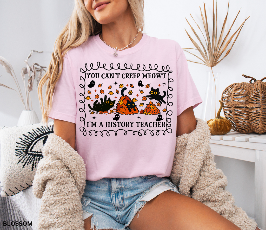 Black Cat History Teacher Comfort Colors® Shirt