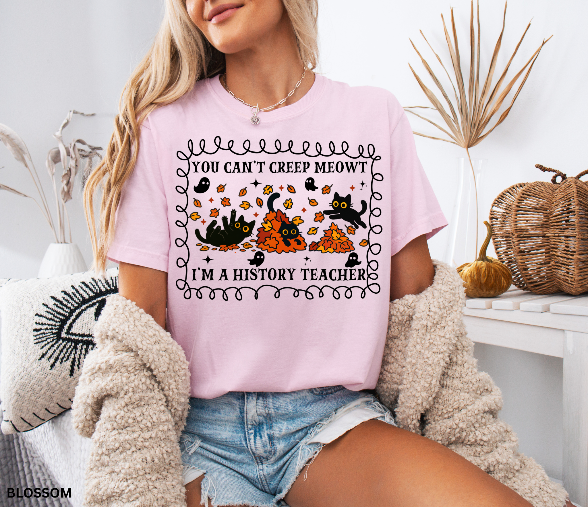 Black Cat History Teacher Comfort Colors® Shirt