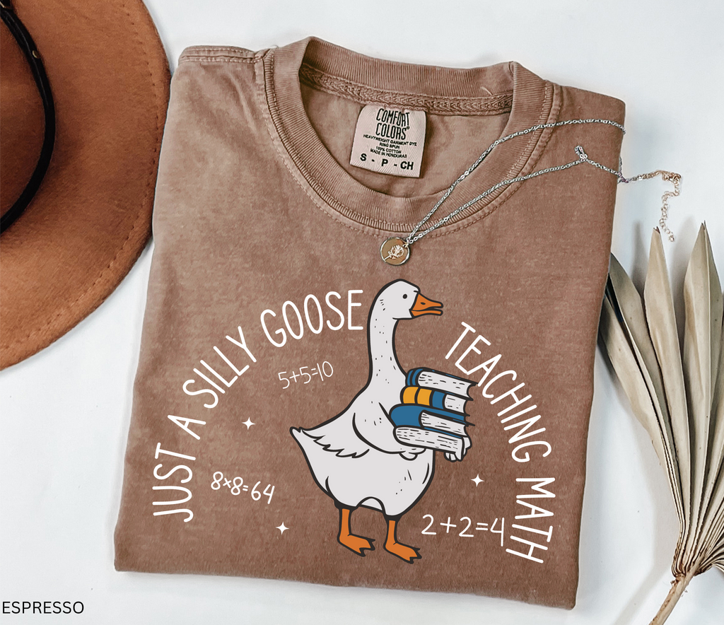 Funny math teacher shirt with a goose holding books, perfect teacher gift or classroom tee