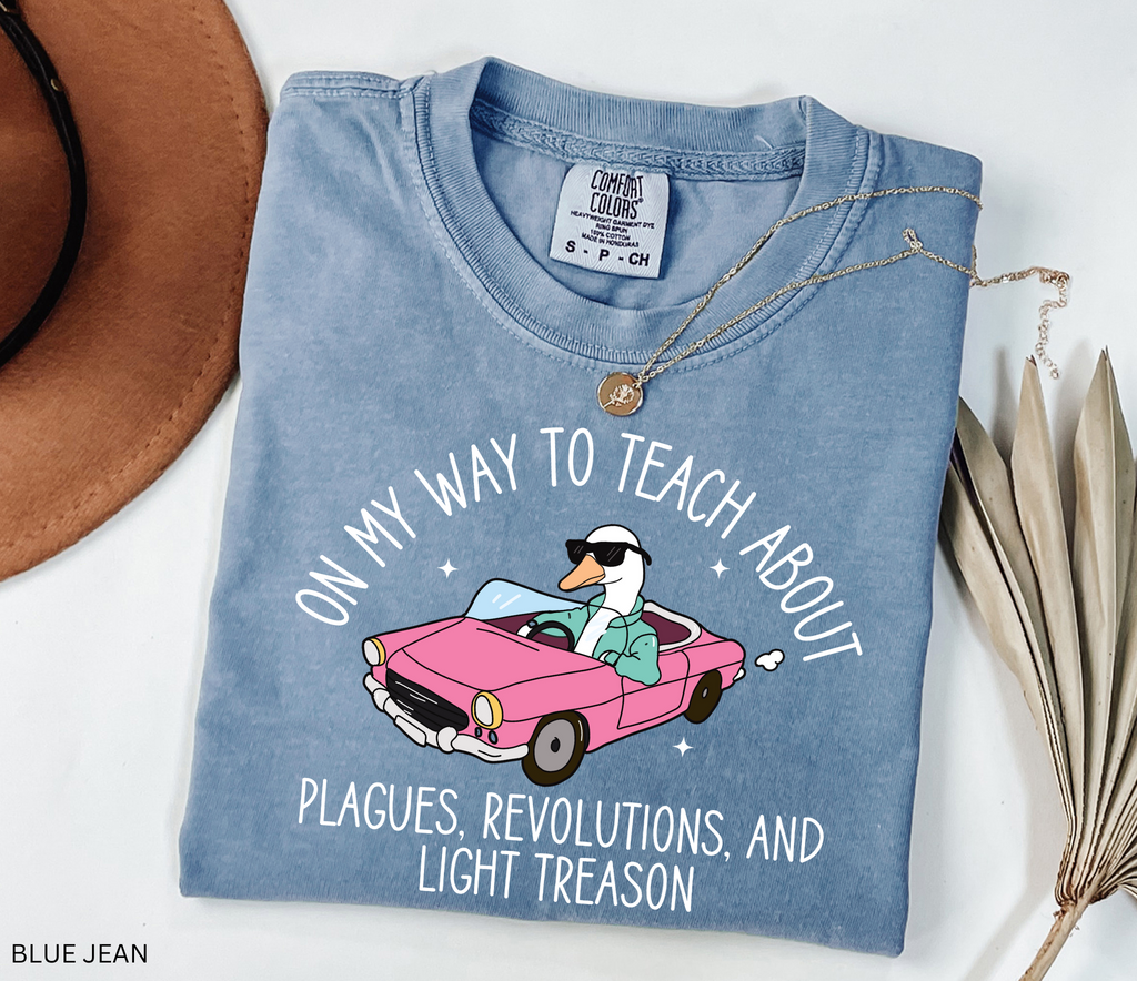 Funny History Goose Teacher Shirt