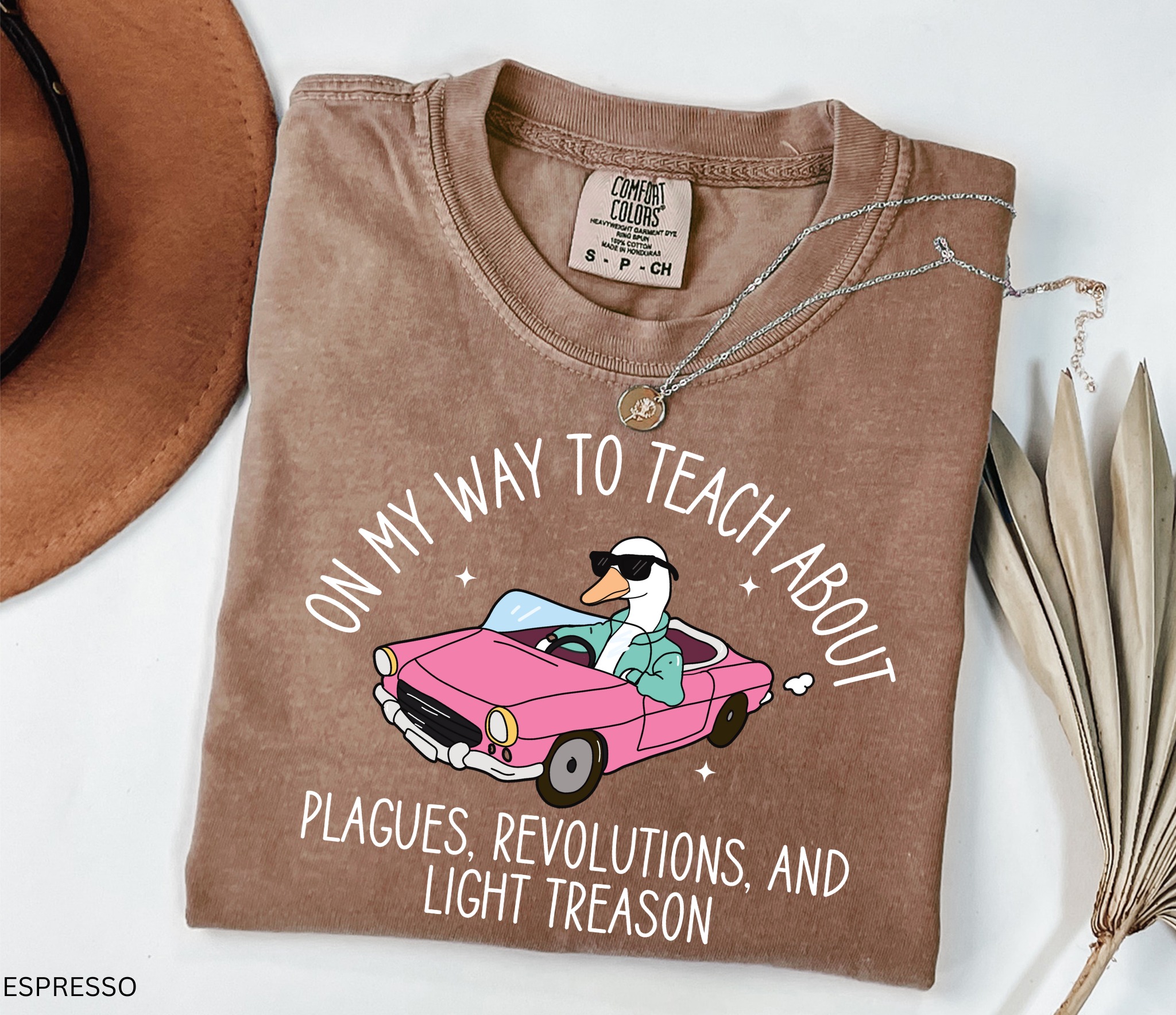Funny History Goose Teacher Shirt